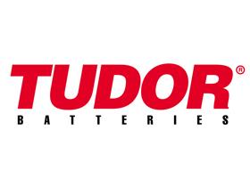 TUDOR EXIDE663 - BATERIA EXIDE HEAVY DUTY 349X175X23